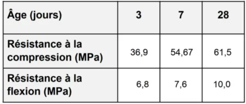 performance graniscel S55 resultat graniscel S55