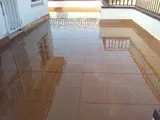 pu transparent 