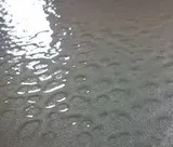 resine epoxy transparante