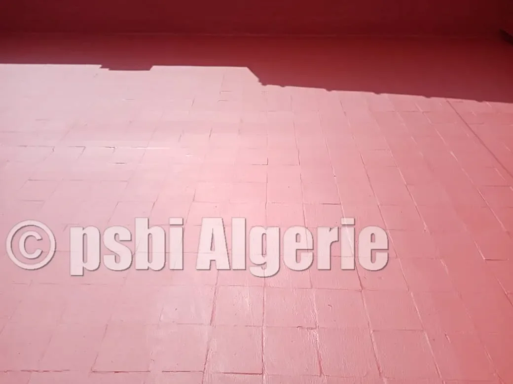 صمغ وقائي ضد التسرب