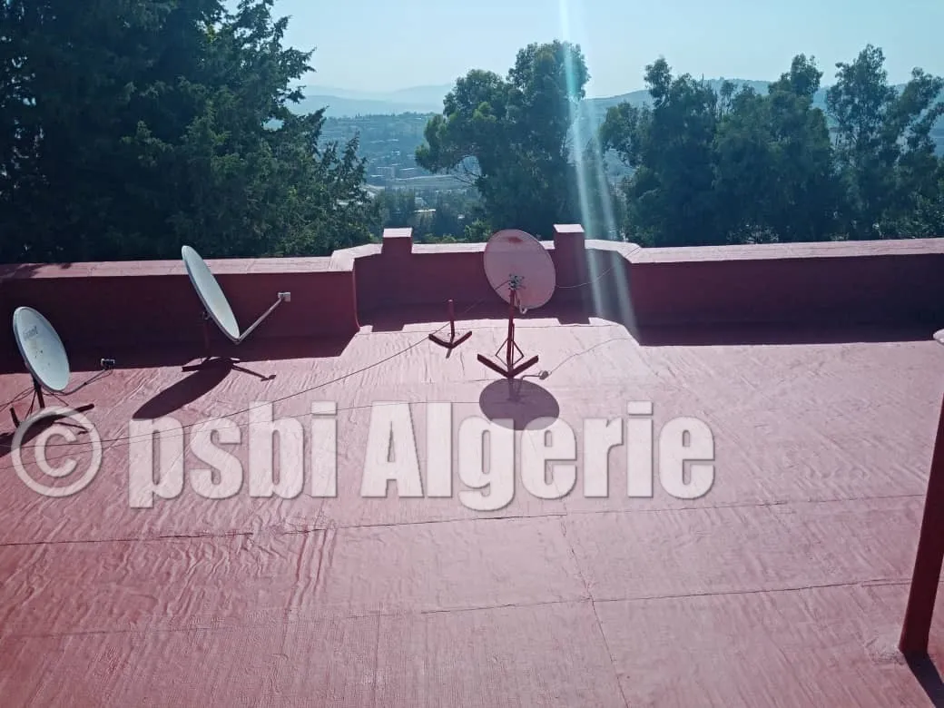 تسلل الماء